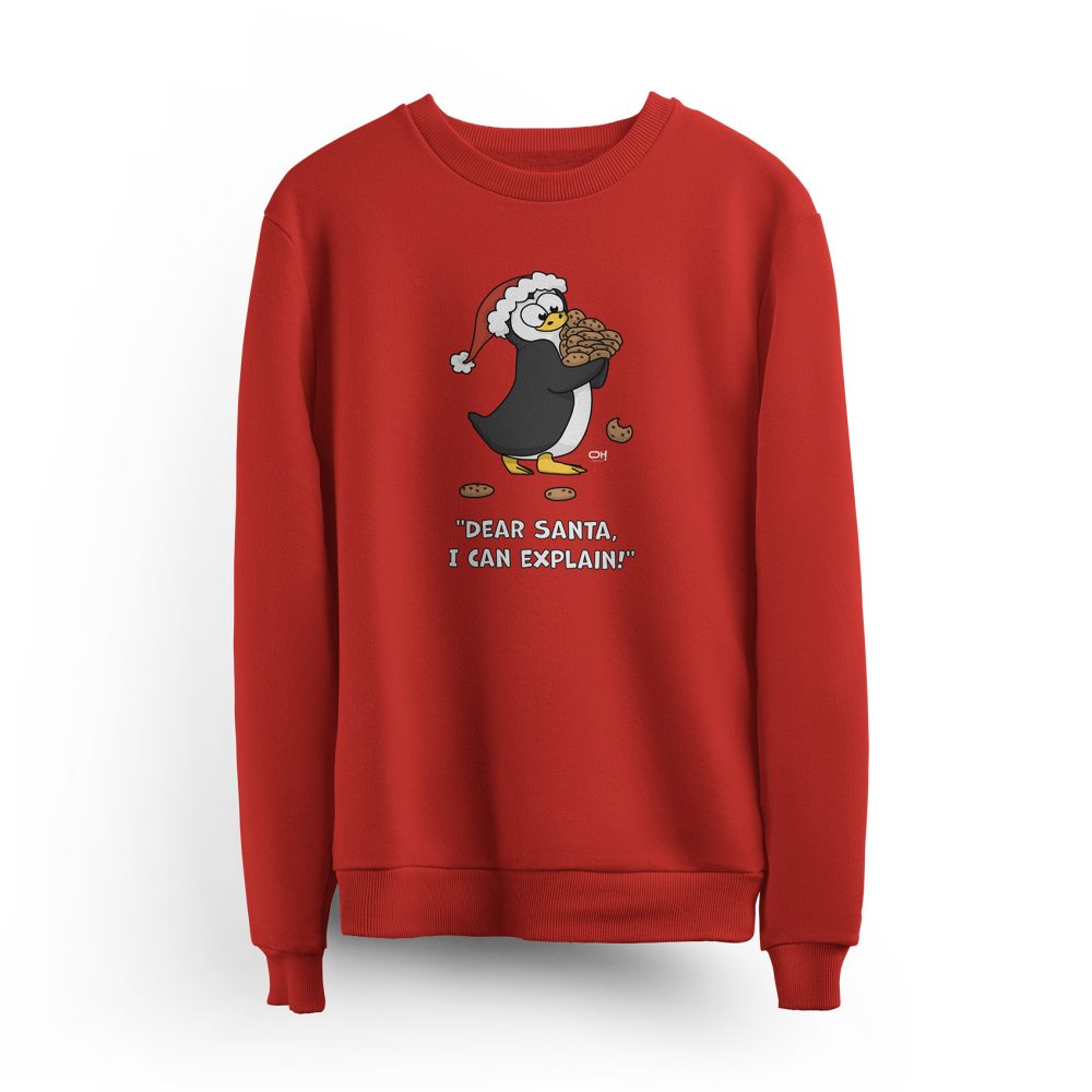 Sweat DEAR SANTA, I CAN EXPLAIN!